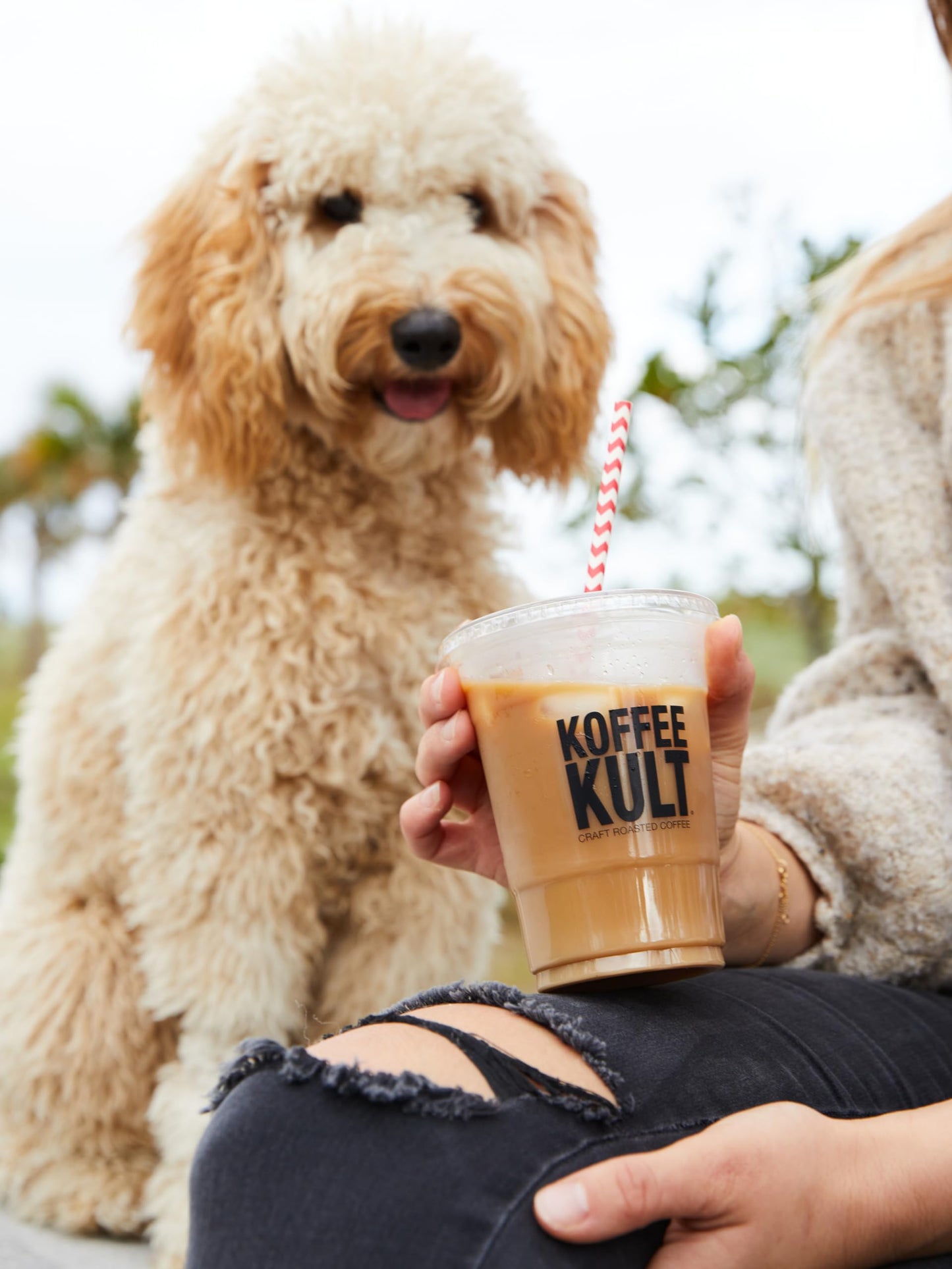 Koffee Kult Half Caff Coffee Whole Bean Dark Roast Half Caffeine Decaf Low Acid Naturally Decaffeinated (32oz, Ground)