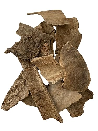Spuun Foods Bois Bande Bark 1 oz
