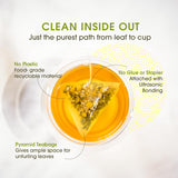 Teabox Premium Darjeeling Green Tea With Chamomile Flowers | 100% Whole Leaf & 0% Bitterness | Green Tea From The Himalayas | 25 Tea Bags (Low