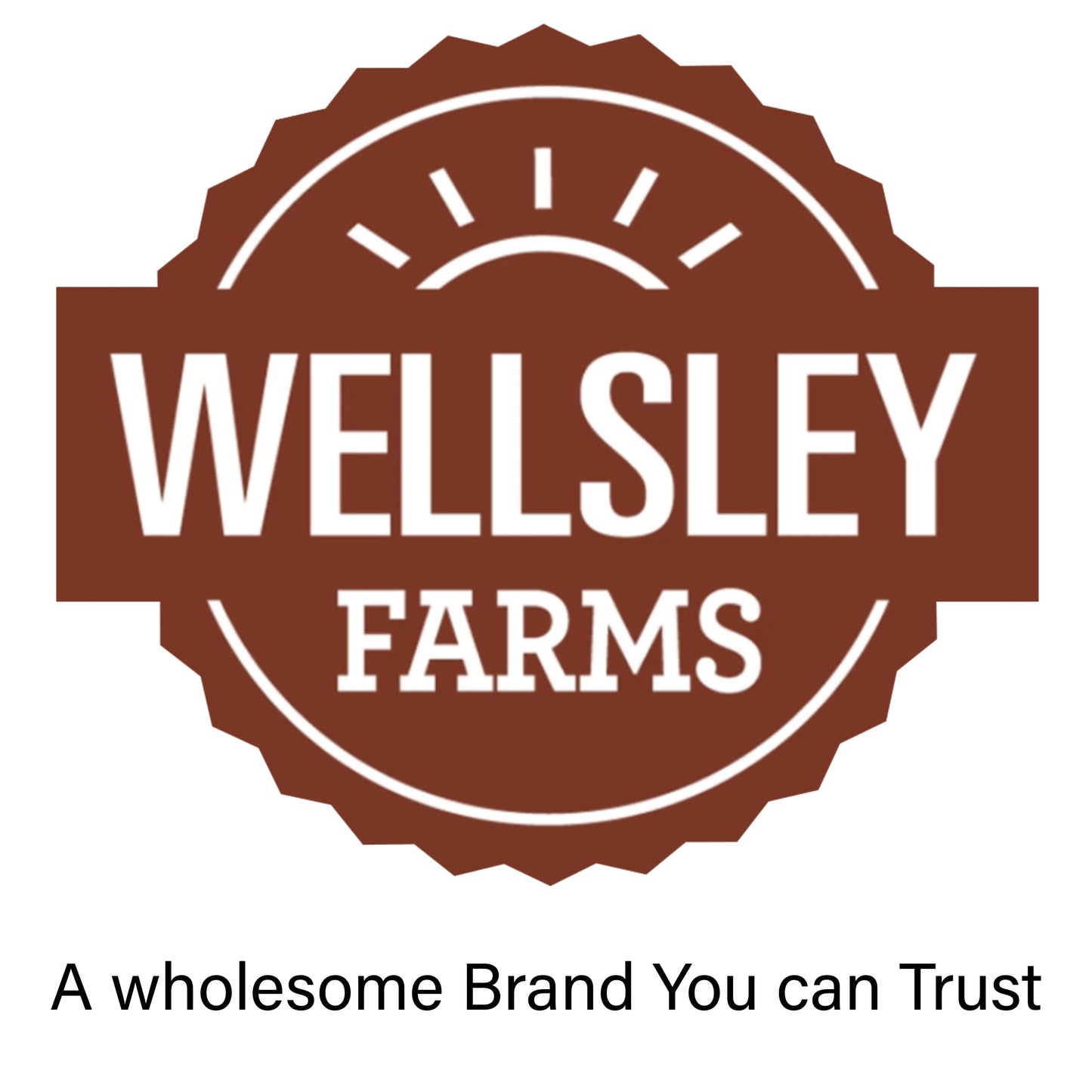 Wellsley Farms Omega 3 Deluxe Mix -Cranberries, Walnuts, Almonds, Pumpkin Seeds, Pecans. Healthy Heart Trail Mix, Power Up, Gluten Free, Cholesterol
