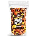 Candy Coated Peanut Butter Chocolate Bites 24oz Bulk Bag, Peanut Butter Center with Crisp Shell, Orange Yellow Brown Candy Pieces for Party Favors