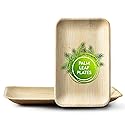 Concession Essentials Palm Leaf Rectangular Modern Plates (25 Count) - Disposable, Compostable & Biodegradable (9" x 6")