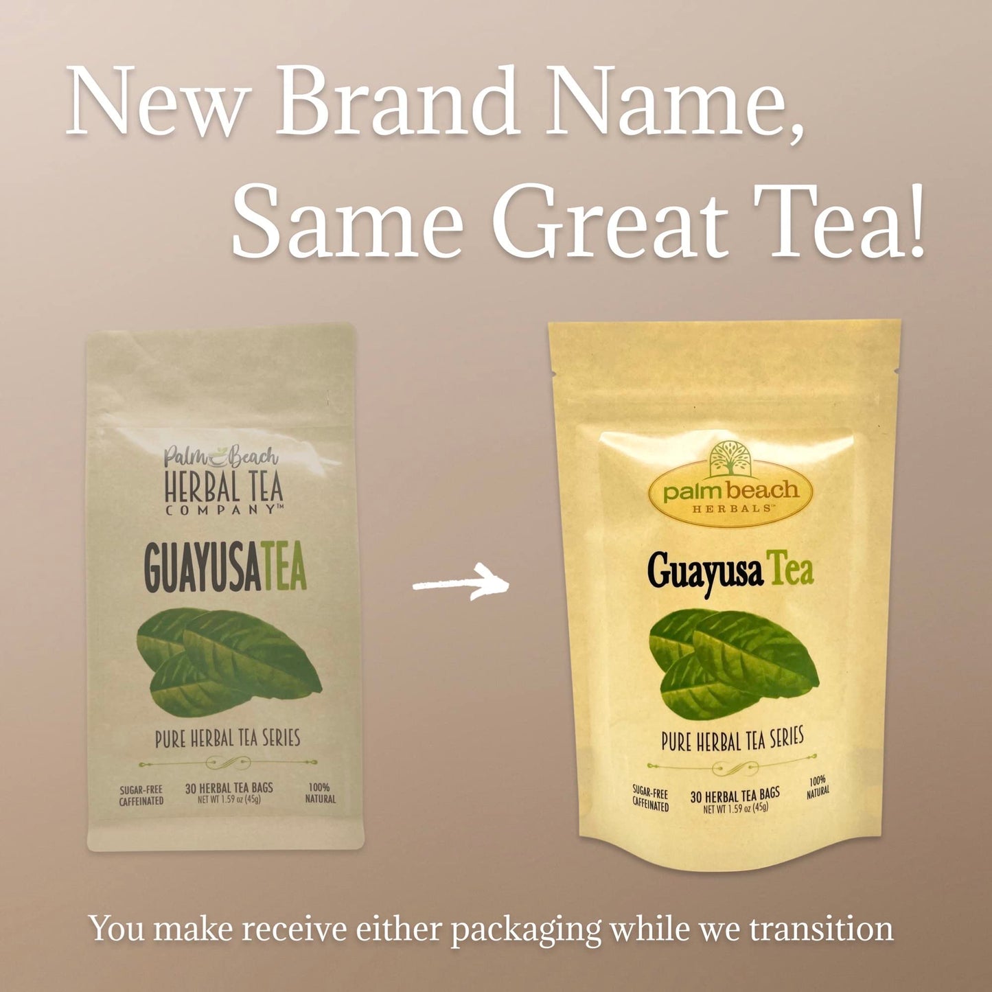 Palm Beach Medicinal Herbs - Guayusa Tea, 30ct | Naturally Caffeinated