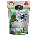 Canopy Point Coffee, Guatemala Medium Roast, Whole Bean, 5lb