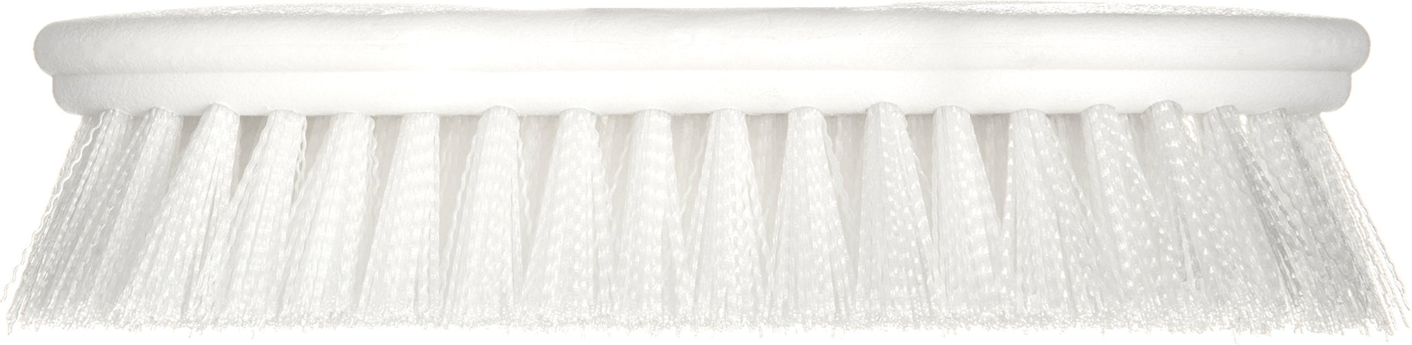 Carlisle 4549402 Spectrum Pointed End Scrub Brush, Polyester Bristles, 8" Length x 1-1/2" Width, 1-3/8" Bristle Trim, White