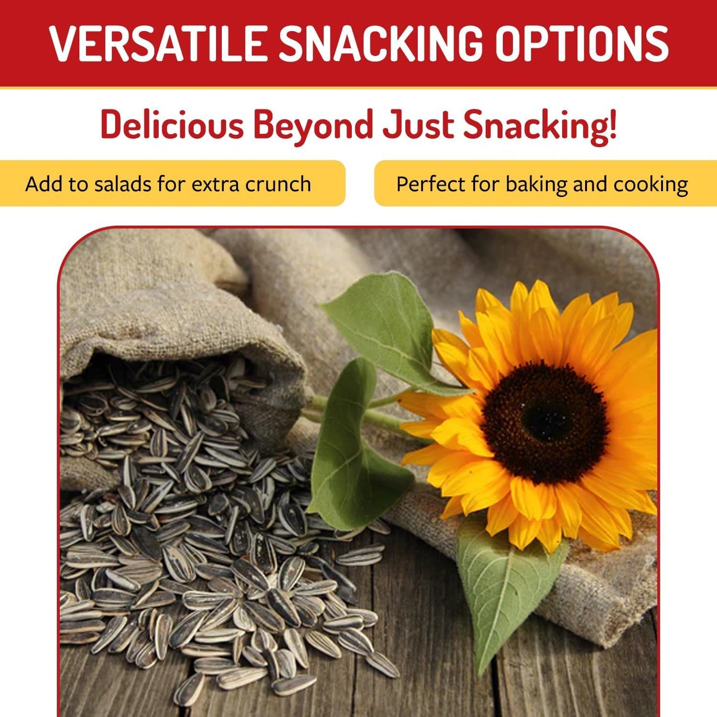 Babkini Semechki Sunflower Seeds & Red Seeds Crackers - Variety Pack (2 Pack, 300g Each) | 1 Roasted & 1 Salted | Non-GMO, High Protein & Fiber |