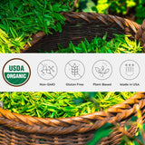 One Farm by WAAYB Organic Ceremonial Matcha Powder, 20 Servings, Single Estate Green Tea Powder, Non-GMO, Fair-Trade, Vegan, Gluten Free, Clean Energy