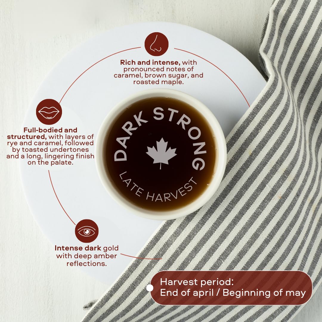 Escuminac Late Harvest Maple Syrup - Organic, Grade A Canada | Dark Robust Taste | 16.9 fl oz Glass Bottle | 100% Pure Canadian Syrup | Gourmet Gift