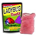 Ladybug Toots Cotton Candy Gluten-Free Pink Candy Funny Ladybug Ideas Ladybug Girl Stocking Stuffers for Kids Teens Ladybug Party Favors - Easter