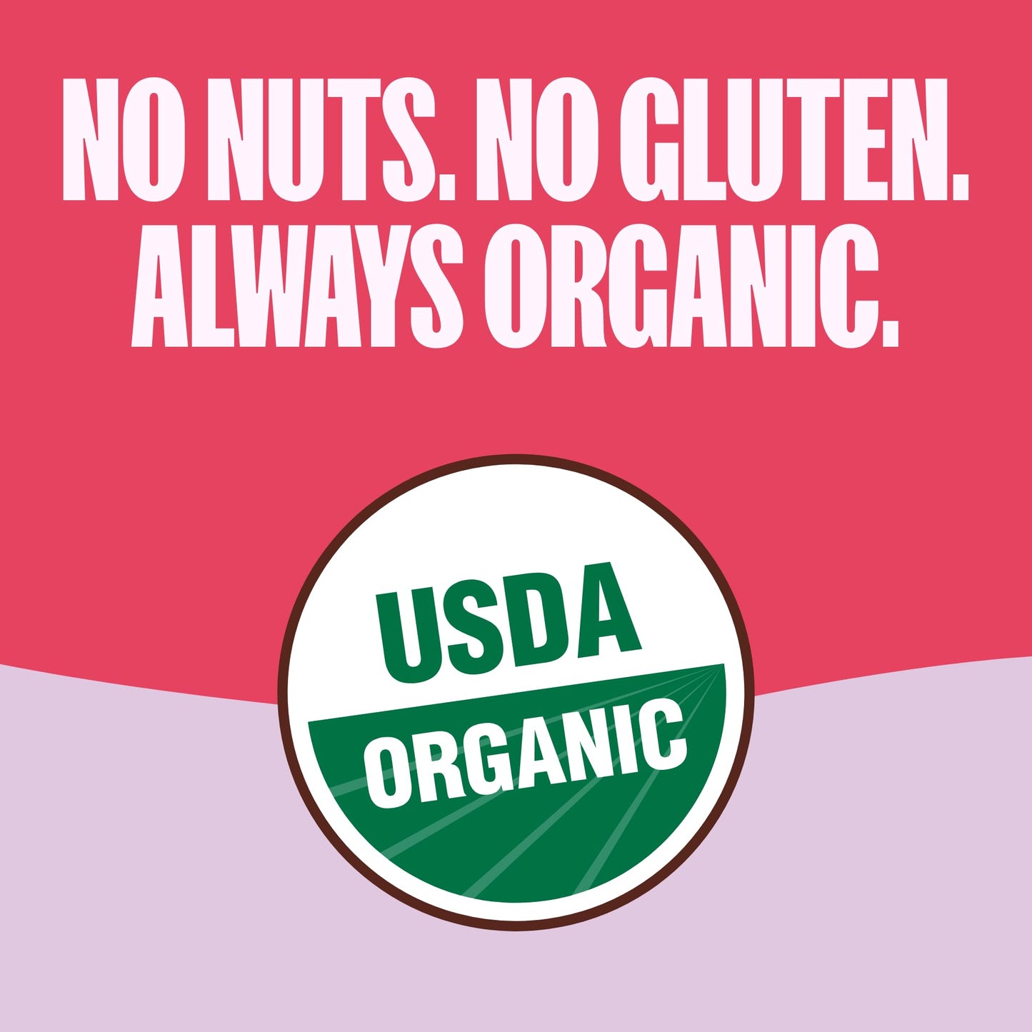 MadeGood Organic Strawberry Granola Bites, 5ct x 0.85oz