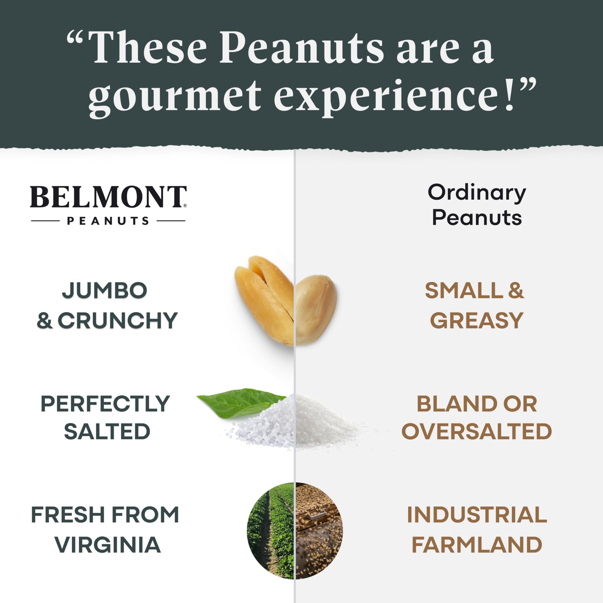 Belmont Peanuts Gourmet Sea-Salted Virginia Peanuts, 20 oz (1 Pack) - Only 3 Simple Ingredients, No Preservatives, 7g Protein - A Premium, Salty