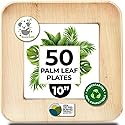 Palm Leaf Plates 10 Inch Bamboo Paper Disposable 50 Bulk Dinner Square Party Plates Event Tableware Eco Biodegradable Compostable Wooden Plate Best