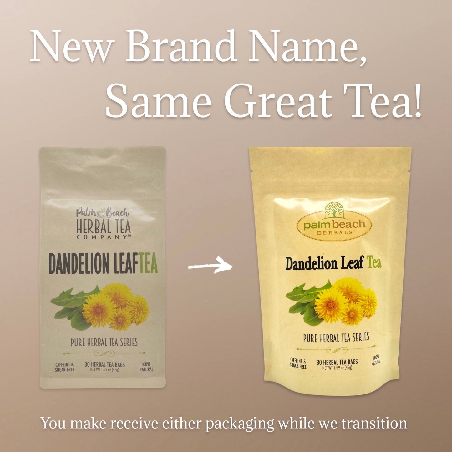 Palm Beach Medicinal Herbs - Dandelion Leaf Tea - Pure Herbal Tea Series, 30ct