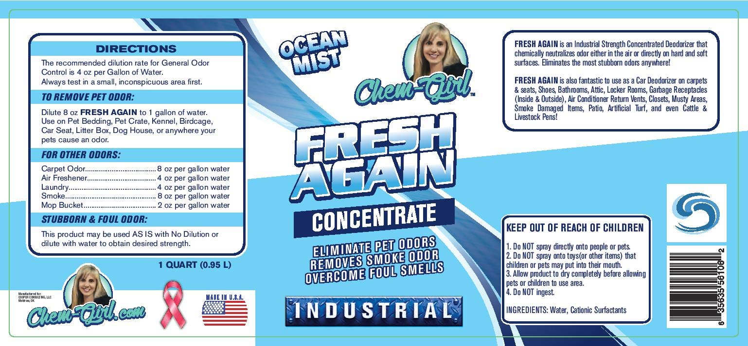 Chem-Girl | FRESH AGAIN Odor Remover & Deodorizer - Neutralizes Foul Odors in Upholstery, Carpet, Air, Shoes, Rugs, Clothes, Dog Beds, Litter Boxes |