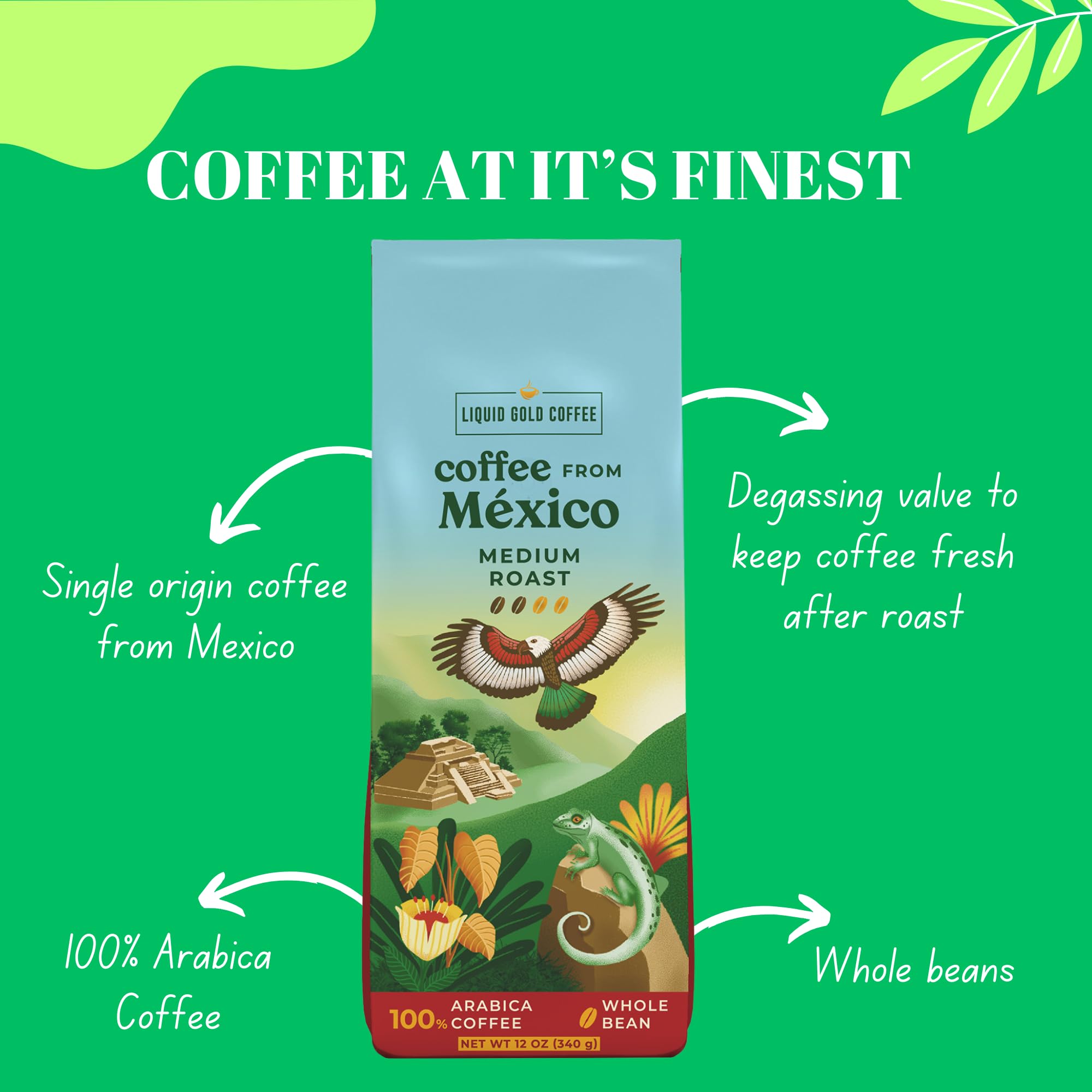Coffee from Mexico, Medium Roast Whole Beans, by Liquid Gold Coffee, 1 Bag (12 OZ) (340 Grams), Single Origin Specialty Coffee, 100% Arabica , Local