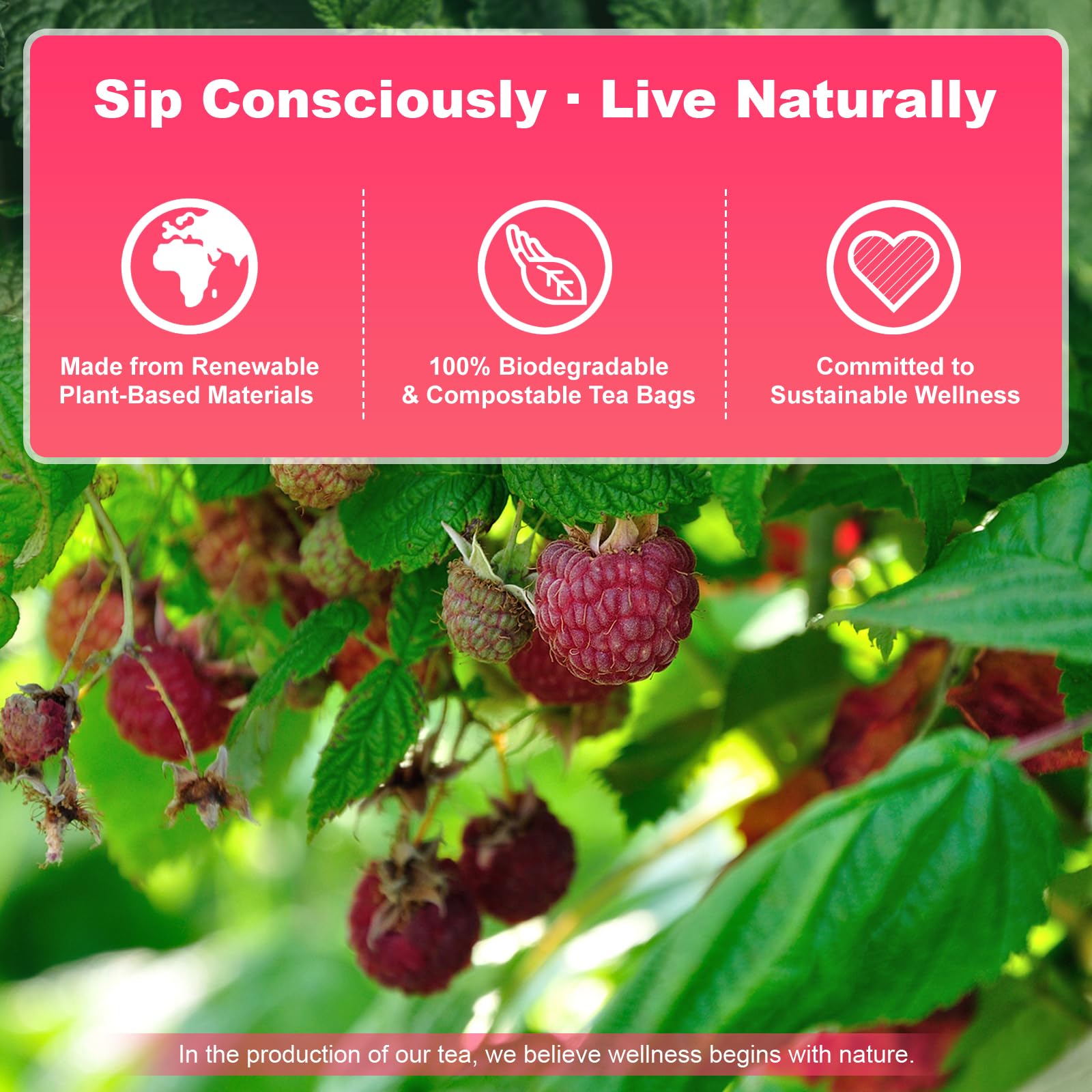 Raspberry Leaf Tea Bags 60 Count - 100% Pure Leaves | Natural Women’s Wellness Cycle Support Herbal Tea | Loose Leaf Caffeine Free