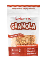 Wellbee’s Grain Free Granola, Oat Free, Low Carb, 100% Honey Sweetened, Small Batch, Refined Sugar Free, Paleo Friendly And SCD Approved (10 oz)