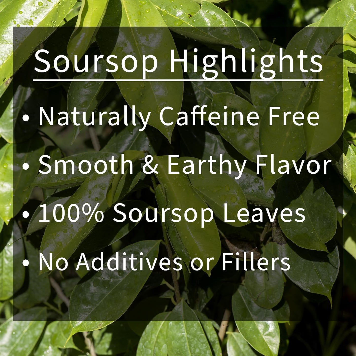 Soursop Leaf Herbal Tea Bags, 30 Count - All-Natural Dried Annona Muricata Leaves, Caffeine-Free Herbal Tea