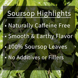 Soursop Leaf Herbal Tea Bags, 30 Count - All-Natural Dried Annona Muricata Leaves, Caffeine-Free Herbal Tea
