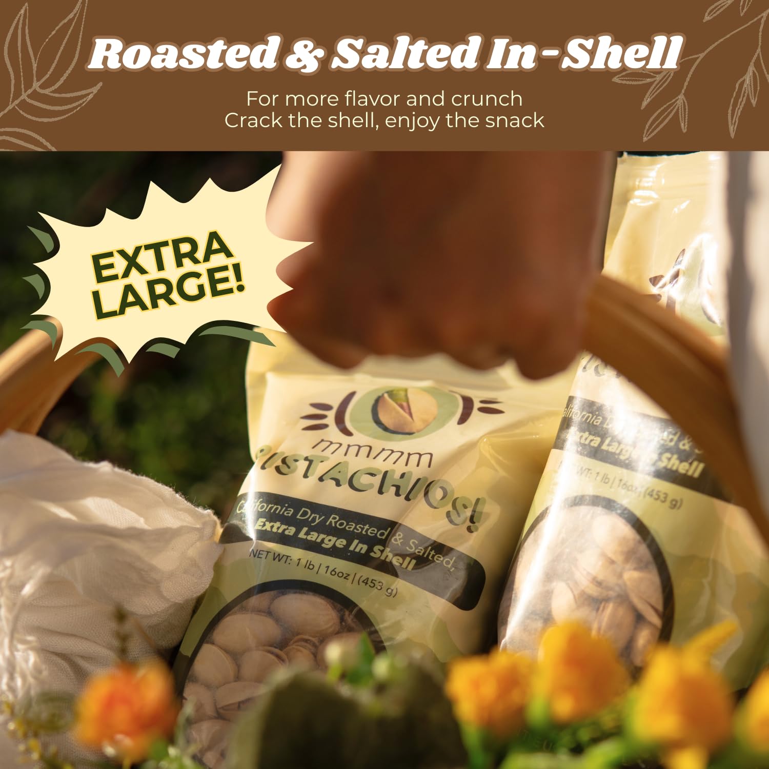 mmmm Pistachios! Dry Roasted Salted Extra Large In-Shell Pistachios, 1 Pound (16 oz) | California Grown Freshly Harvested | Vegan Gluten Free Non-GMO