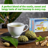 Soursop Ginger Tea - Refreshing Herbal Blend with Cinnamon & Lemon - Loose Leaf or Tea Bags 20 sachets Instant Tea