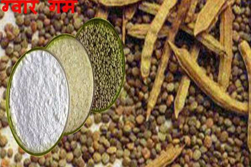 GUAR GUM - 200 MESH- 11lb