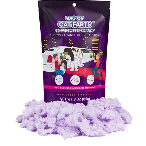 Bag of Cat Farts Grape Cotton Candy, 1 pack / 3 ounces
