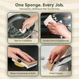 Plant-Based Kitchen Sponges (24 Pack) | USDA Biobased Certified | FSC & PETA Approved | Natural Cellulose & Coconut Scrubber Sponge | S-Shaped Design