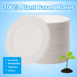 PUREZON 200 Pack Disposable Paper Plates, 8 Inch Compostable Biodegradable Plate, Heavy Duty Sugarcane Bagasse Plates(White)
