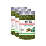 Blessfull Healing Organic Cilantro 100 Gram (3.52 oz) Each (Pack Of 3) = 300 Grams, Vegan
