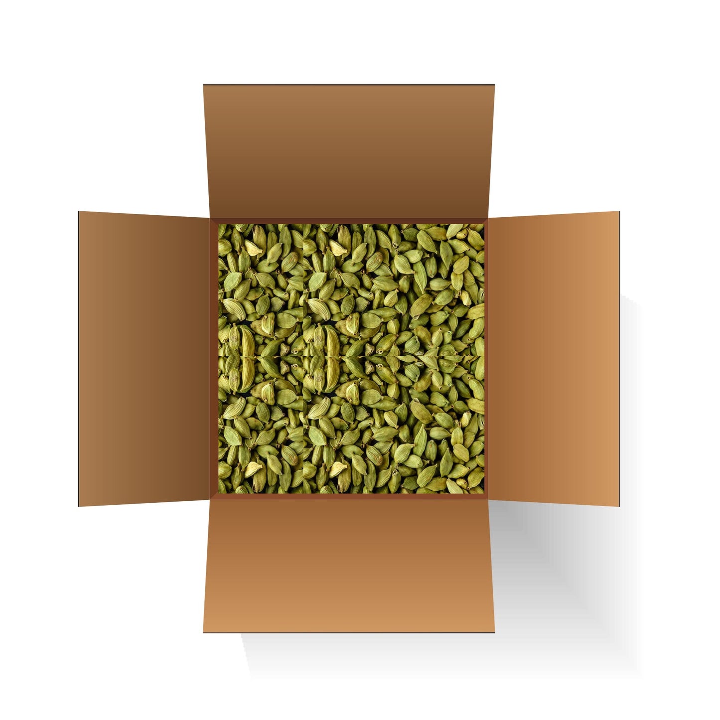 SPICY ORGANIC Bulk Green Cardamom Pods 5 LBS (80 OZ) - Jumbo Size Freshly Harvested Cardamom Spice for Superior Flavor and Aroma - Non-GMO- Gluten