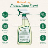 Citrus II Hospital Germicidal Deodorizing Cleaner - Fresh Citrus Scent - Disinfecting Spray - for Home, Hospital and Office Surfaces and Supplies - 22