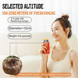 Chinese Spicy Snack Variety Pack, 4 Flavors - soybean skin, Gluten Strips, Konjac Jelly, Spicy Bars, Non-Fried, 60g-80g Bags