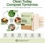 Purely Plant Loofah Dish Sponge 4 Pack- Loofah & Cellulose Premium Kitchen Scrubber, Non Toxic, 100% Plastic Free,Compostable & Biodegradable,Durable
