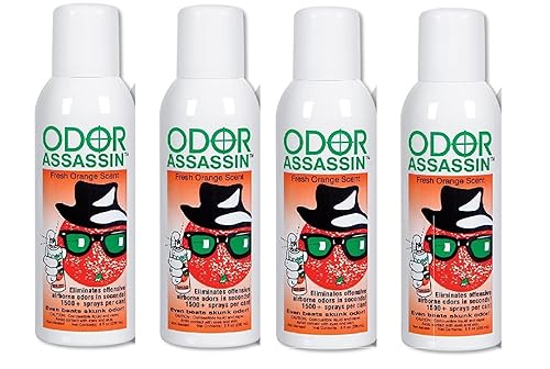 Odor Assassin Orange, Set of 4