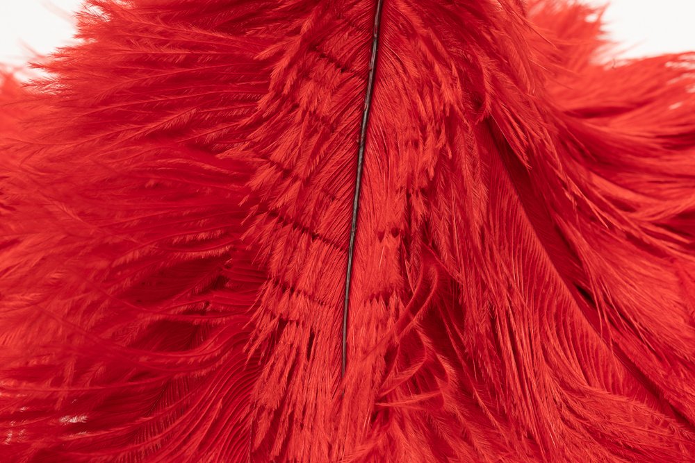 AVIAN COLOR FEATHER DUSTER. (Red)