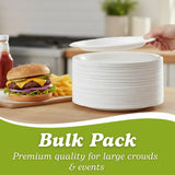 Blue Sky 100 Count Disposable Plastic Plates, 9-Inch, White