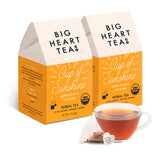 Big Heart Tea Co. Ginger Turmeric Tea, Certified Organic Tea Bags (20 Count) Herbal Caffeine Free Blend with Adaptogenic Tulsi, Peppercorn, Cinnamon