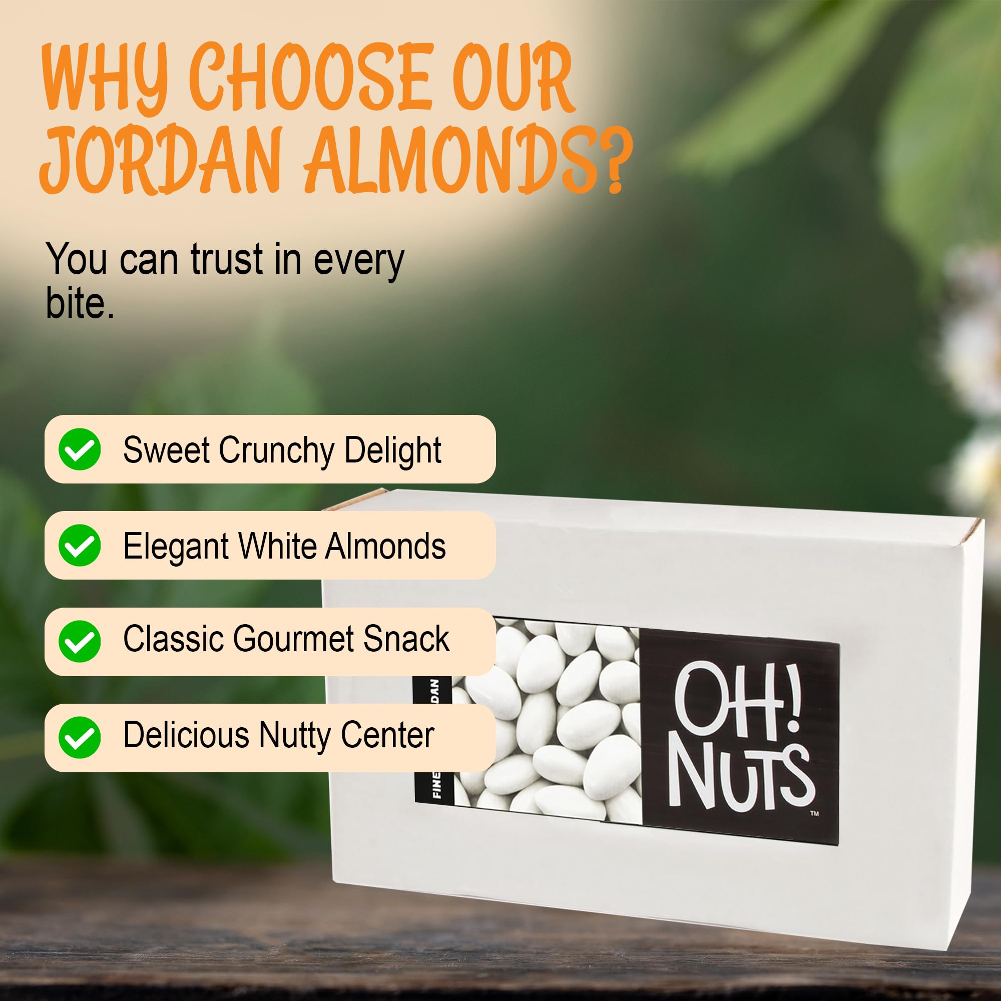 Oh! Nuts White Jordan Almonds for Easter, Weddings, Baby Showers, Birthday - 5 Lbs Bulk Bag