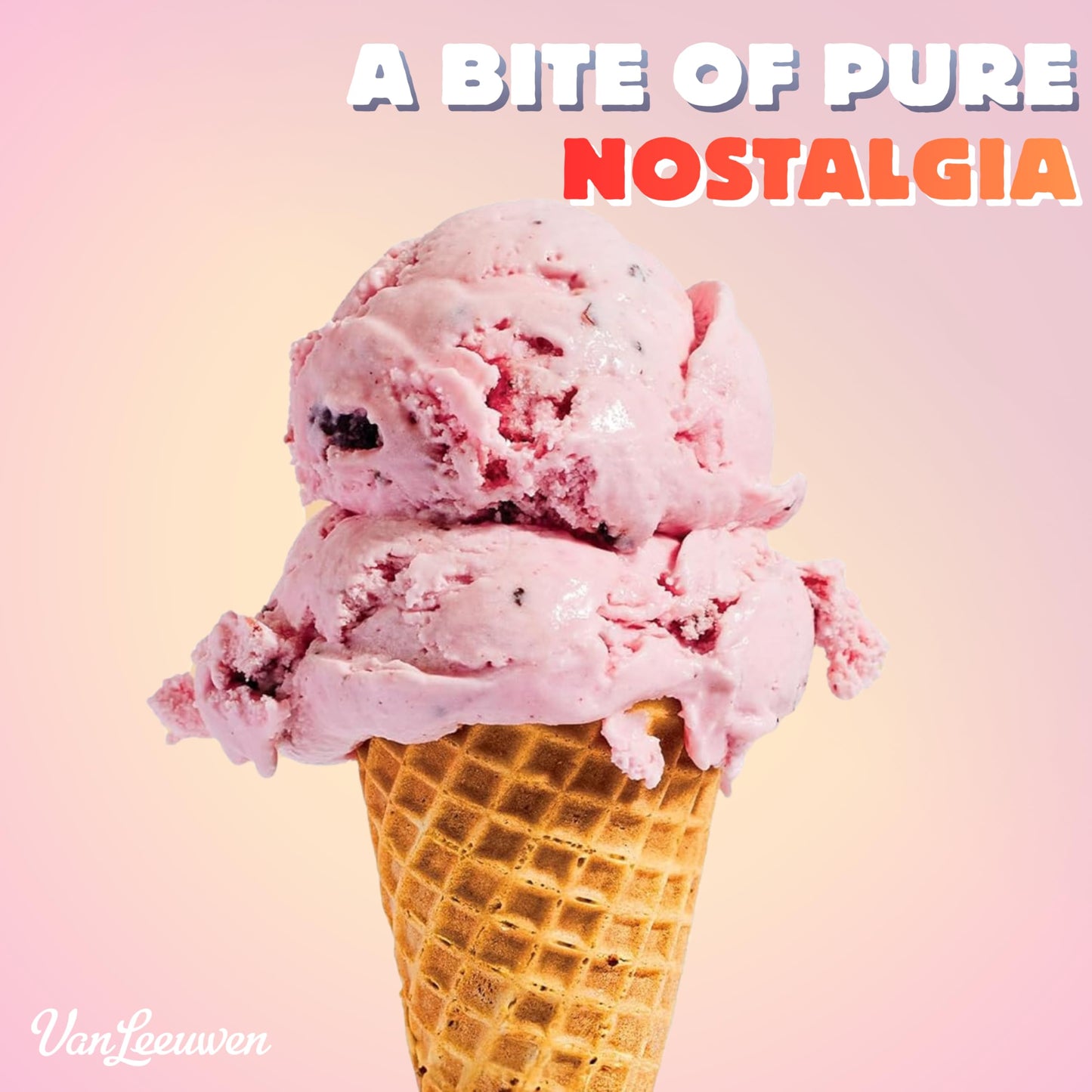 Van Leeuwen Black Cherry Chip Ice Cream, 14 oz (Frozen)