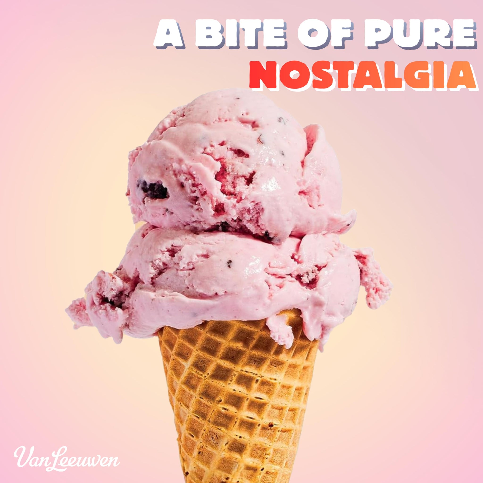 Van Leeuwen Black Cherry Chip Ice Cream, 14 oz (Frozen)