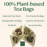 VAHDAM Organic Turmeric Ginger Herbal Tea Bags (100 Pyramid Tea Bags) Caffeine Free, Non GMO | 100% Pure Herbal Blend - Savory & Spicy, Plant-Based