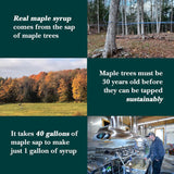 Vermont Maple Syrup's Organic Coarse Vermont Maple Sugar, 1 lb - Subtle Maple Syrup Sweetness, Perfect Sugar Substitute for Baking, Coffee, and Oatmeal
