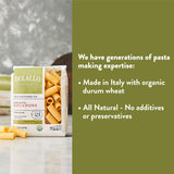 DeLallo Organic Rigatoni Pasta, Made with 100% Semolina Durum Wheat Flour, Bronze Cut, Made in Italy, Non-GMO, Preservative Free, Large Tube Pasta