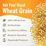100% Organic White Millet by Grand Teton Ancient Grains | Shelled, Gluten-Free, Hulled Grain for Salads, Pilafs, & Soups | Whole Grain Ready for Milling, (5 Pounds)