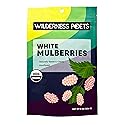 Wilderness Poets White Mulberries - Raw Organic Dried Mulberries, 8 oz (227 g)