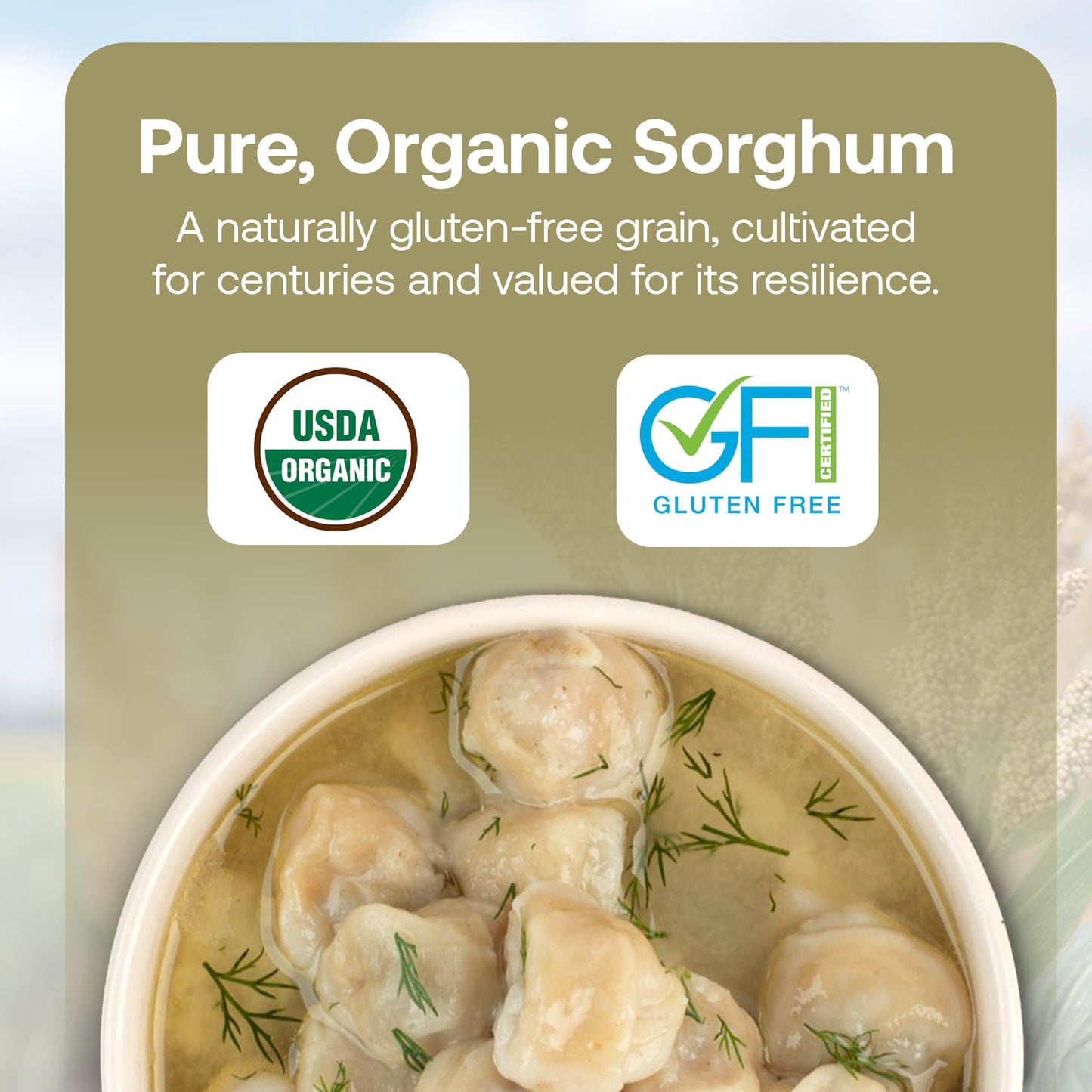 Quay Naturals Organic Sorghum Flour 2lb - Organic Jowar Flour - Made With Gluten Free Sorghum Whole Grain - Non GMO - Gluten Free Baking Flour