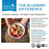 Bluebird Grain Farms Organic Old World Hot Cereal, 12 Oz.