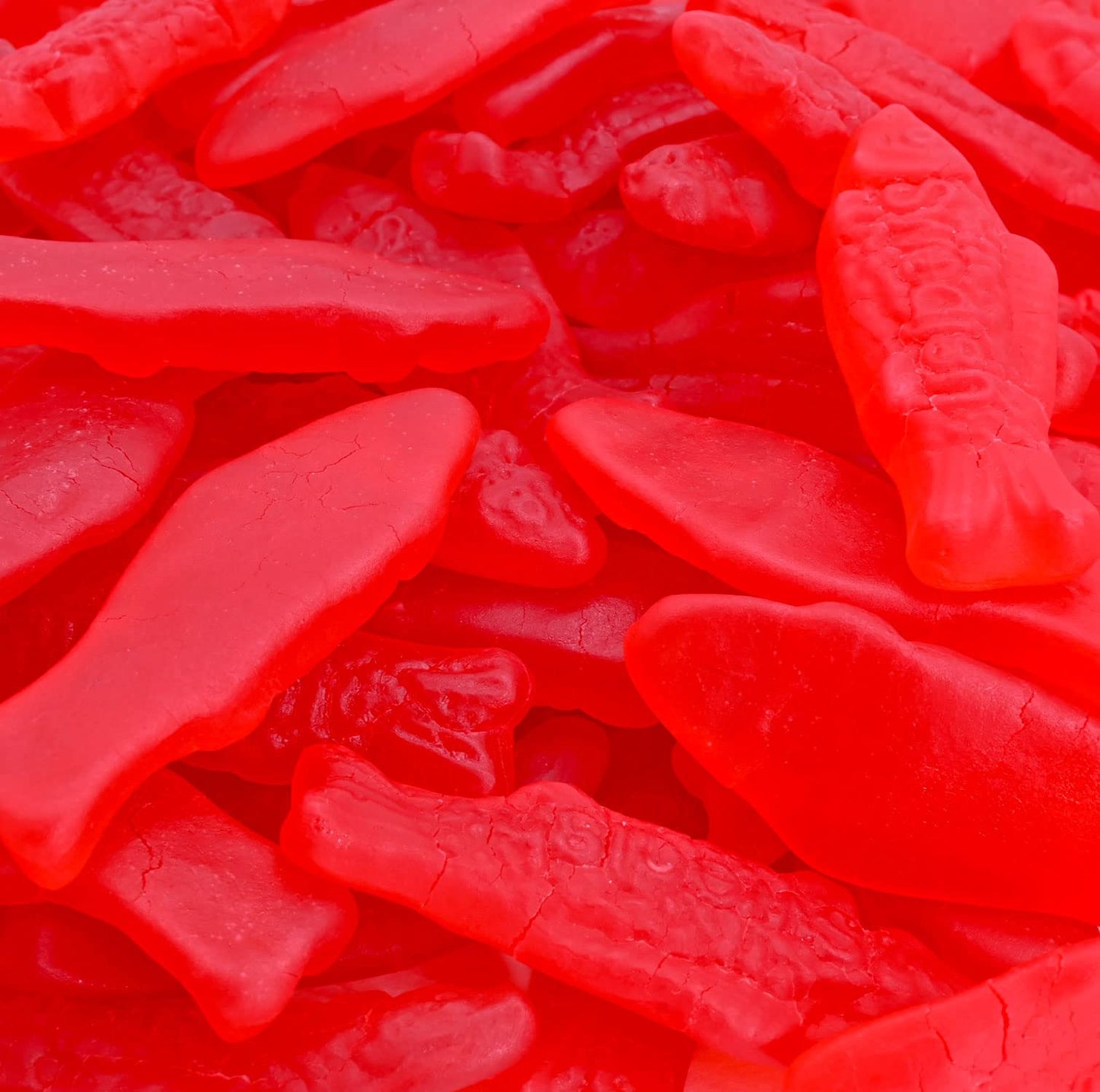 Candy Retailer Gummy Red Fish Candy 1 Lb