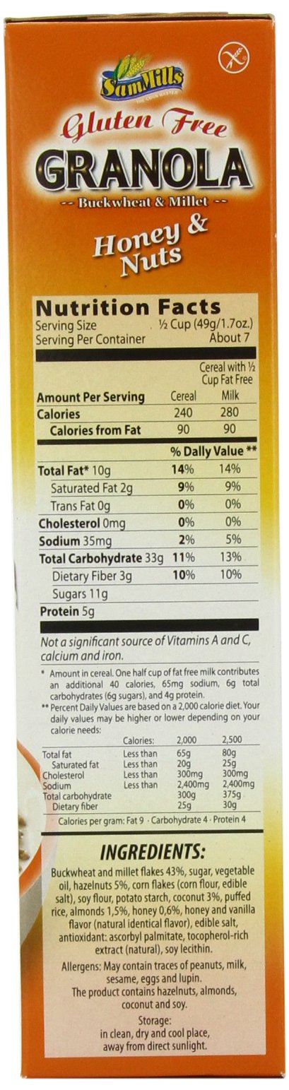 Gluten Free Granola Honey and Nuts 12 Ounces (Case of 6)